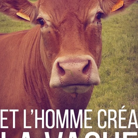 Et l'homme créa la vache