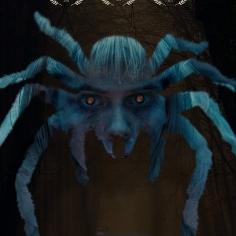 Playing with Spiders