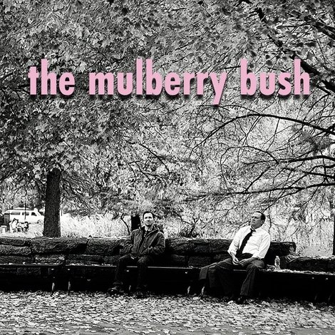 The Mulberry Bush