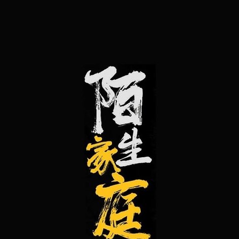 陌生家庭