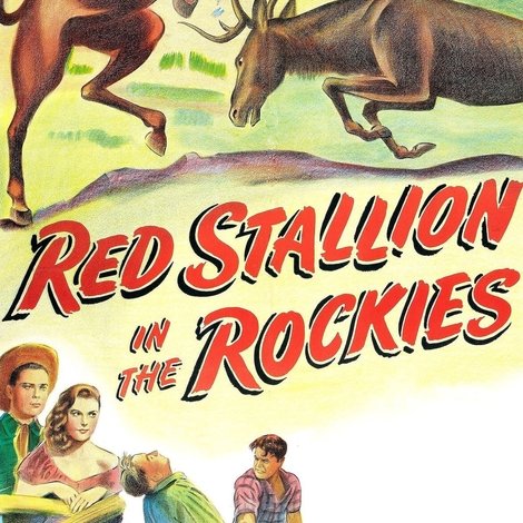 Red Stallion In The Rockies