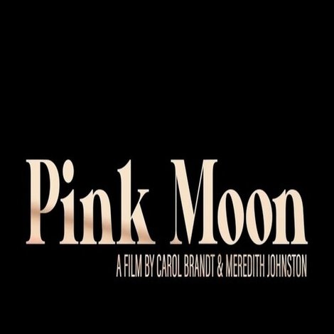 Pink Moon