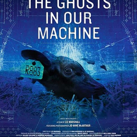 The Ghosts in Our Machine