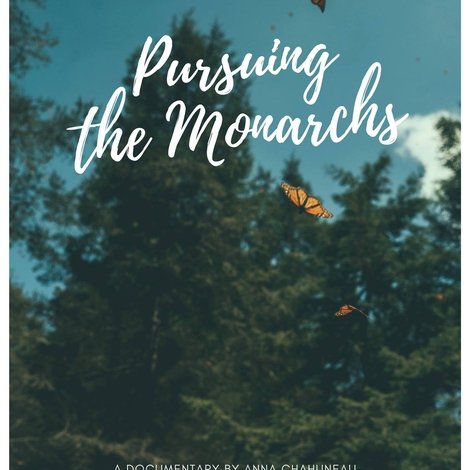 Pursuing the Monarchs