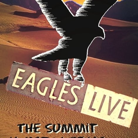 Eagles: Live at The Summit, Houston 1976