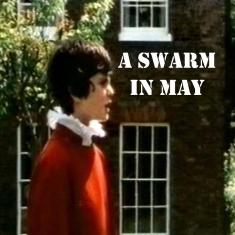 A Swarm in May