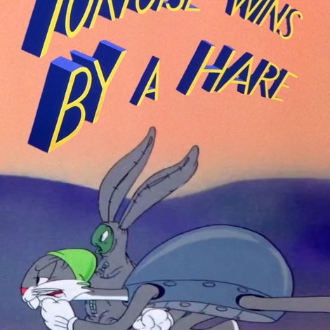 Tortoise Wins by a Hare