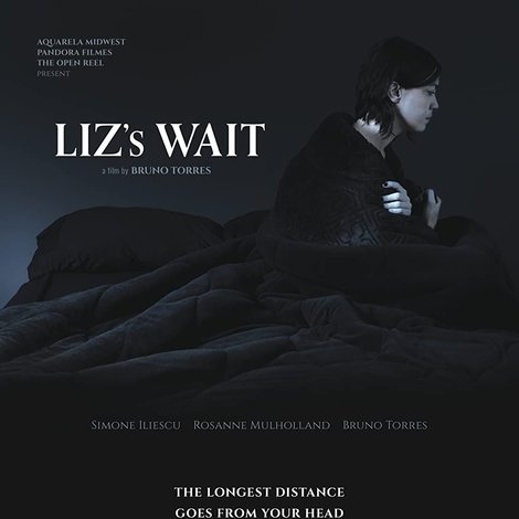 A Espera de Liz