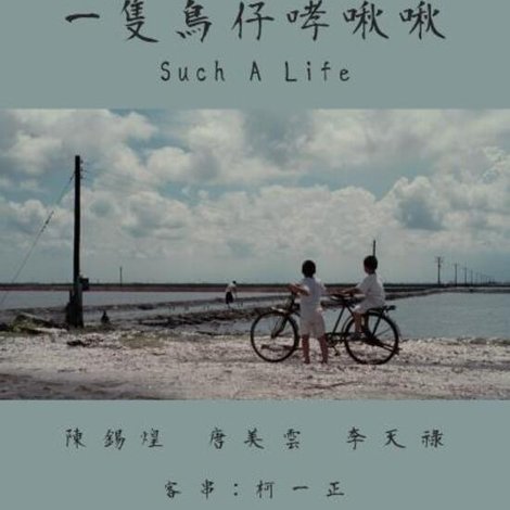 一隻鳥仔哮啾啾