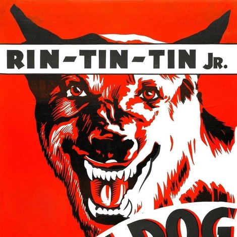 The Wolf Dog
