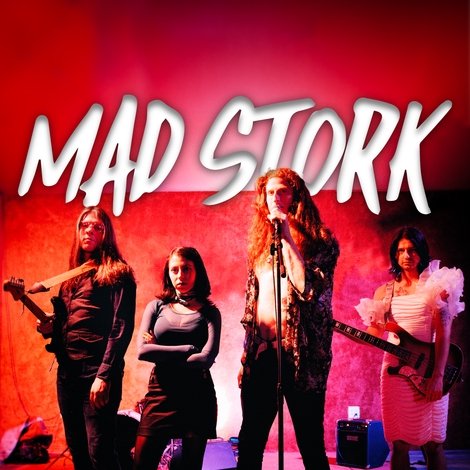 Mad Stork