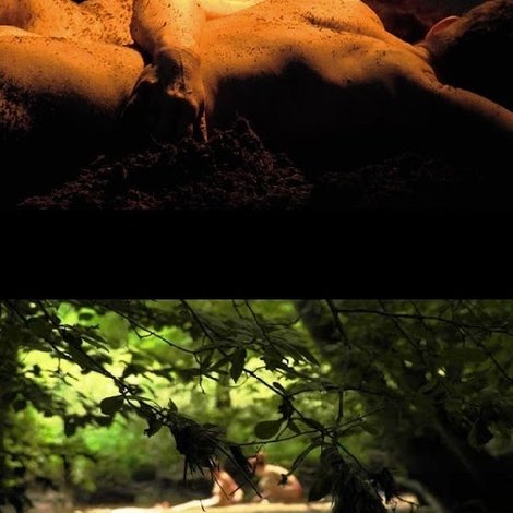 Ecosex, a User's Manual