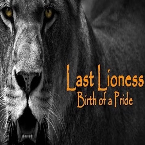 The Last Lioness: Birth of a Pride
