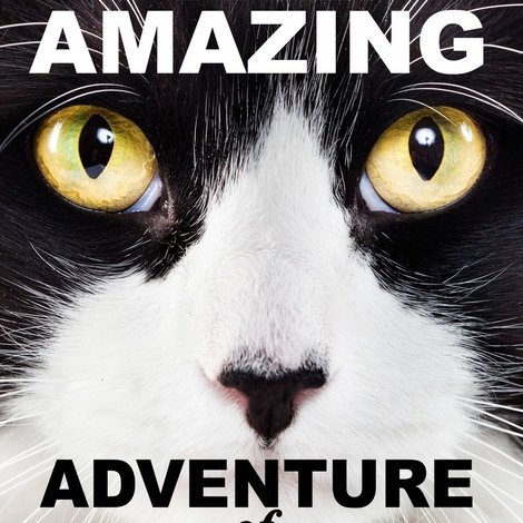 A Cat's Tale