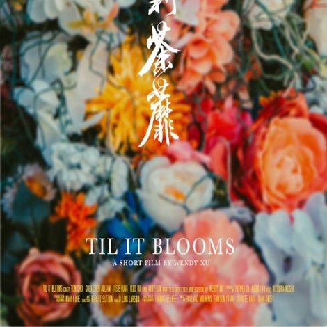 Til It Blooms