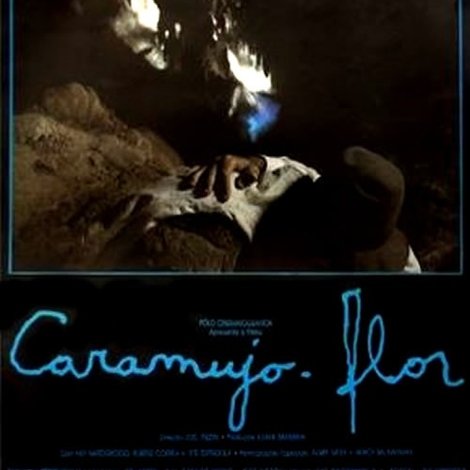 Caramujo-Flor