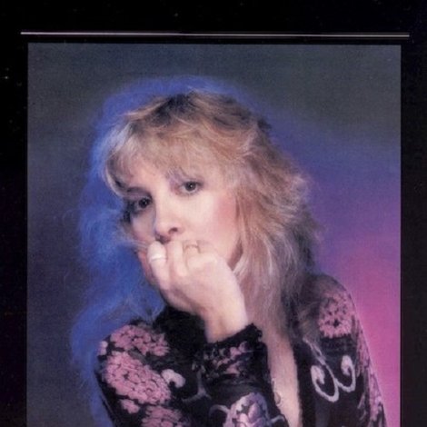 White Wing Dove - Stevie Nicks in Concert