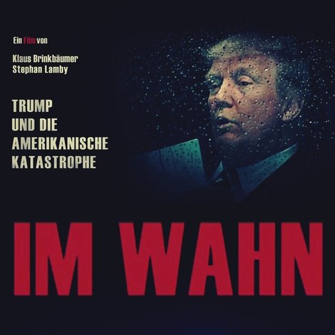 Im Wahn - Trump und die Amerikanische Katastrophe