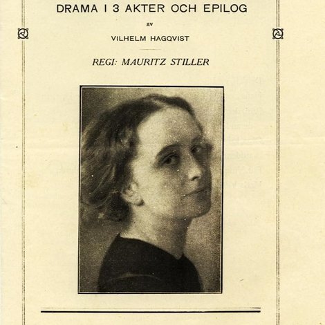 Stormfågeln