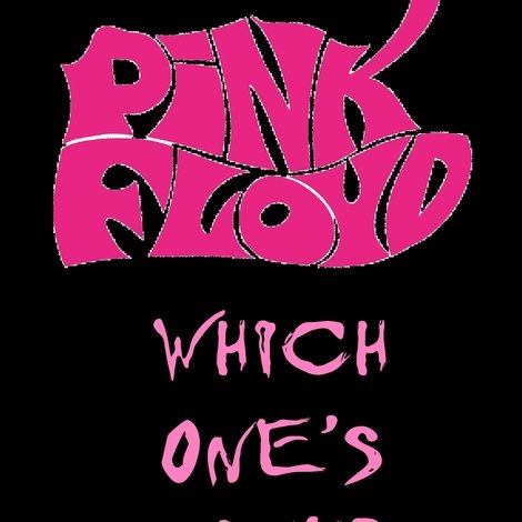 The Pink Floyd Story: Which One's Pink?