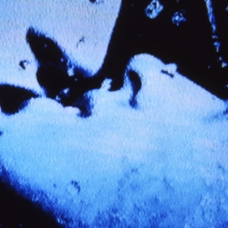 Self-Portrait in 23 Rounds: a Chapter in David Wojnarowicz’s Life, 1989–1991