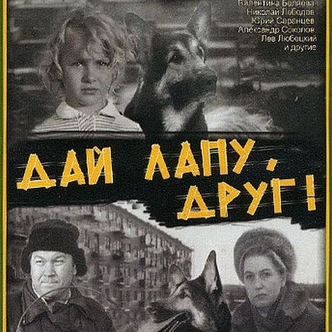 Дай лапу, Друг!