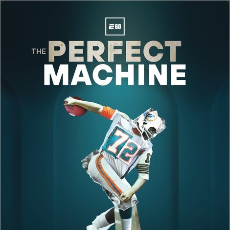 The Perfect Machine