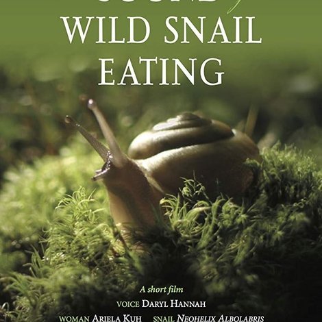 The Sound of a Wild Snail Eating