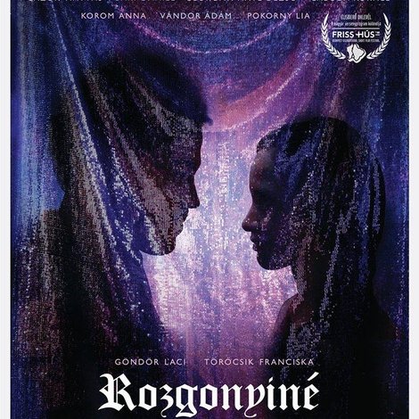 Rozgonyiné