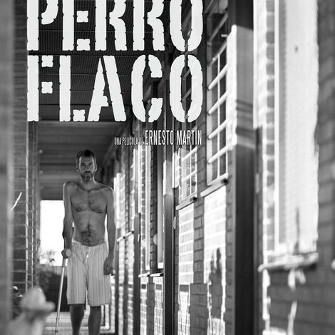 Perro flaco