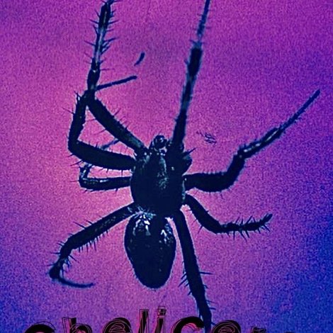 Chelicera