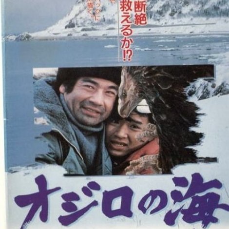 オジロの海