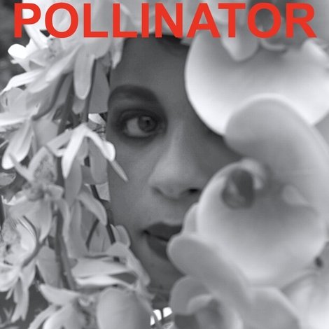 Pollinator