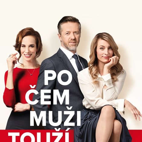Po čem muži touží