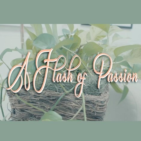 A Flash Of Passion