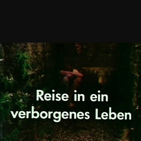 Reise in ein verborgenes Leben
