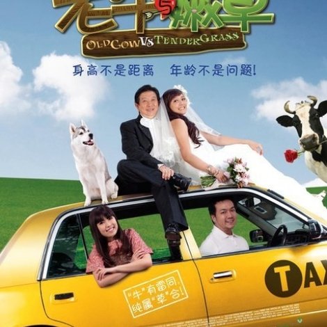 Old Cow Vs Tender Grass