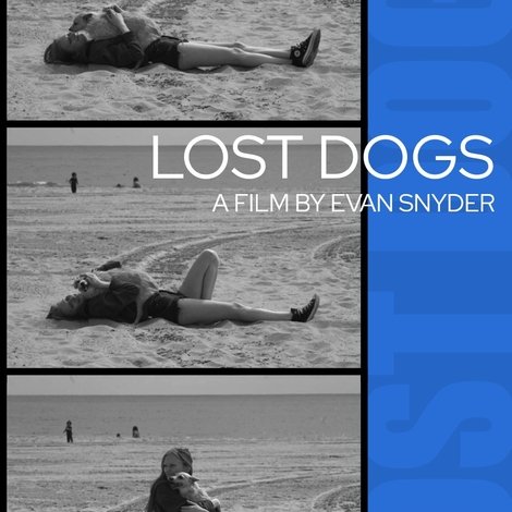 Lost Dogs