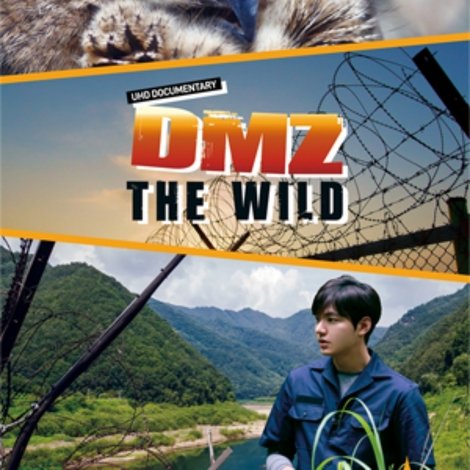 DMZ, 더 와일드