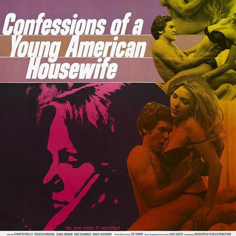 Confessions of a Young American Housewife