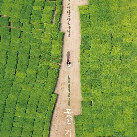 물의 기억