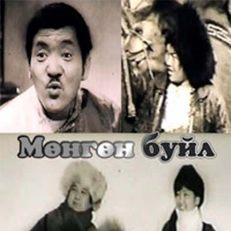 Мөнгөн буйл