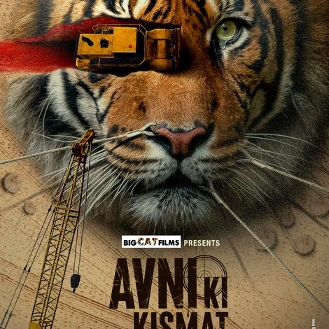 Avni Ki Kismat