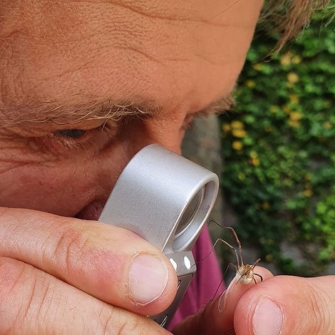 Geheimnisvolle Parktiere - Wildes Leben in der Stadt