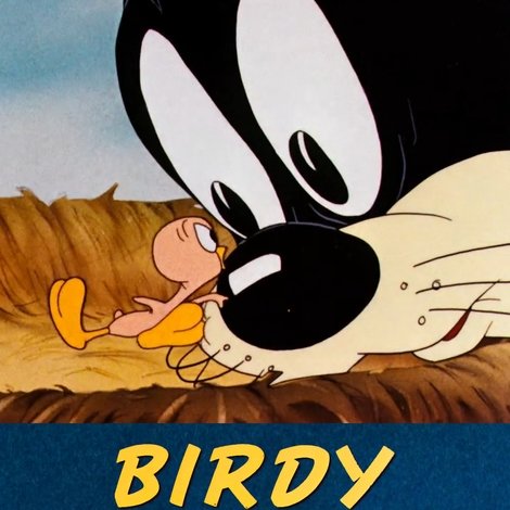 Birdy and the Beast