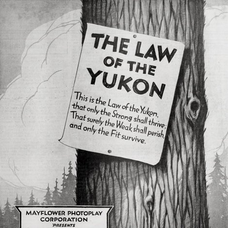 The Law of the Yukon