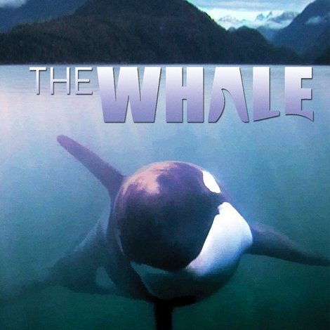 The Whale