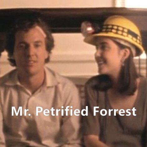 Mr. Petrified Forrest
