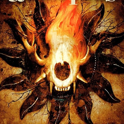 Amorphis: Forging the Land of Thousand Lakes