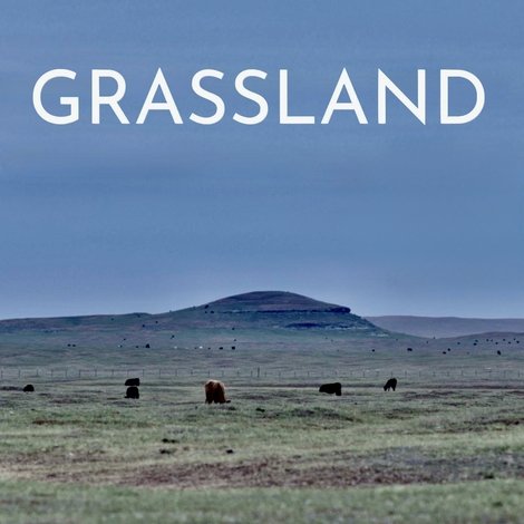 Grassland